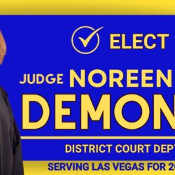 Judge Noreen DeMonte: Experience, Accountability, and Justice on the Bench